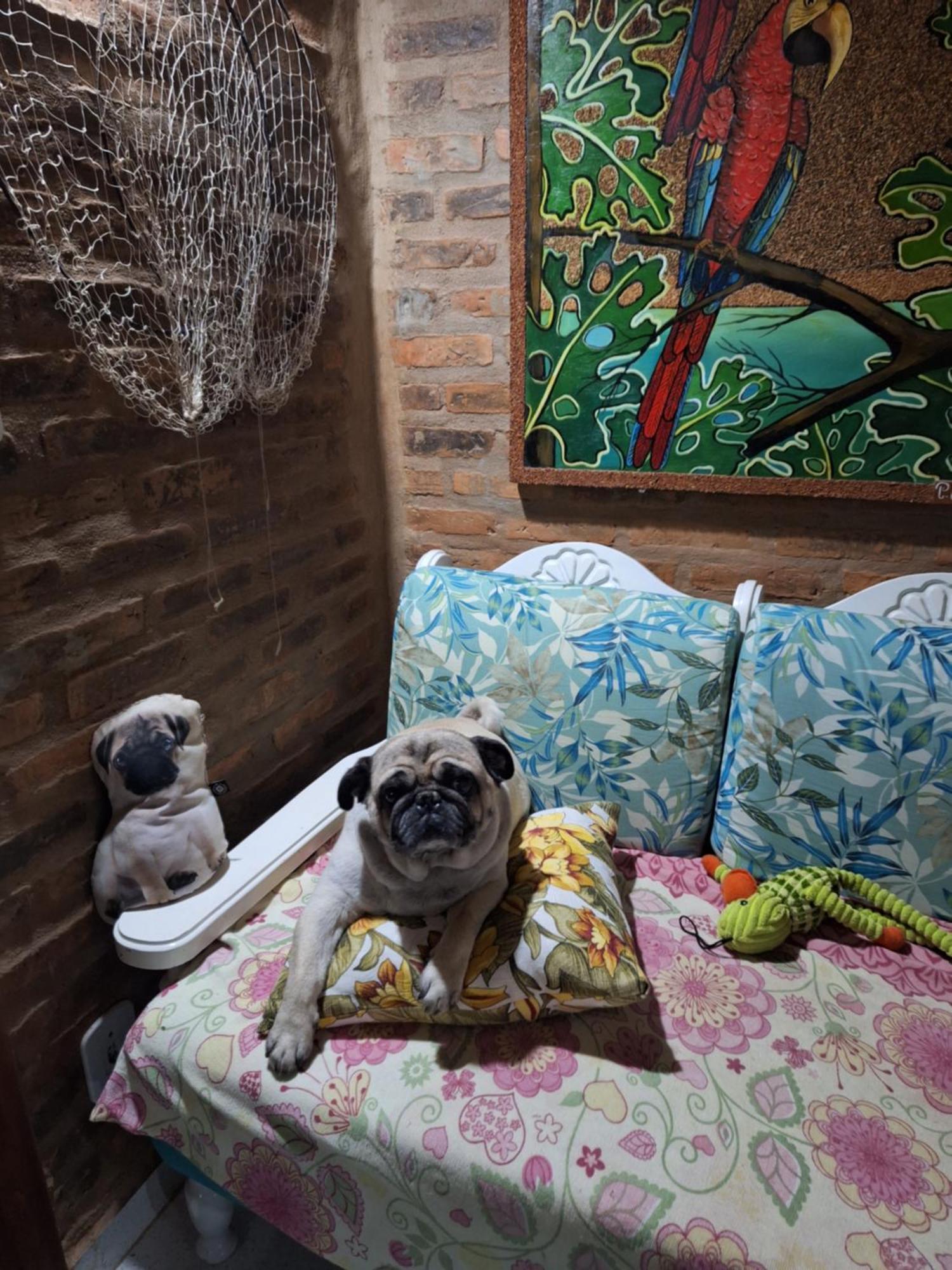 Casas Lindas No Paraiso! Costa Dourada Екстер'єр фото